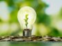 Close up photo of lightbulb with growing plant inside and coin stacks as a symbol of money saving. Concept of money, investment and  startup business idea.